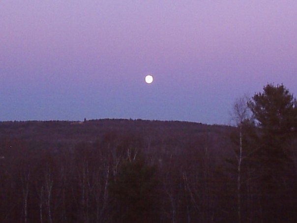 Full moon view at the rabbitry